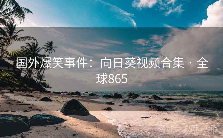 国外爆笑事件：向日葵视频合集 · 全球865  第2张